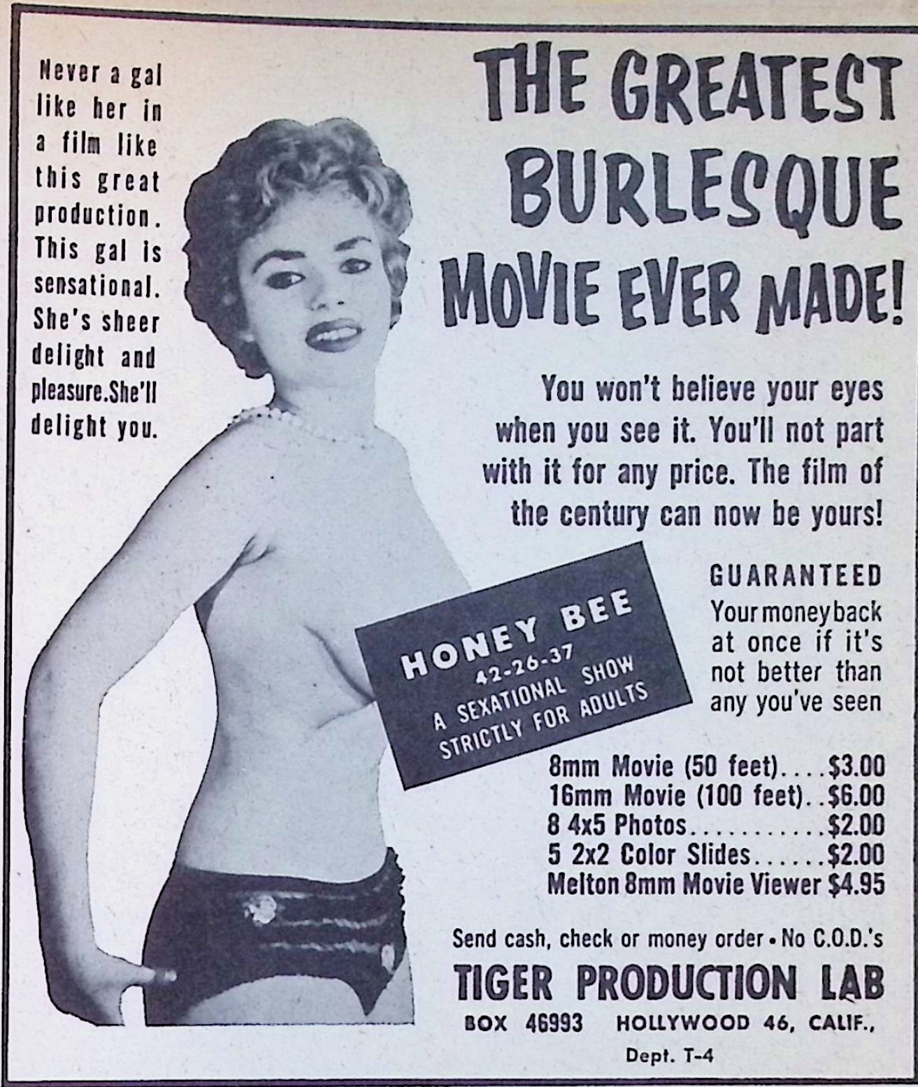 Advertisement image00059a