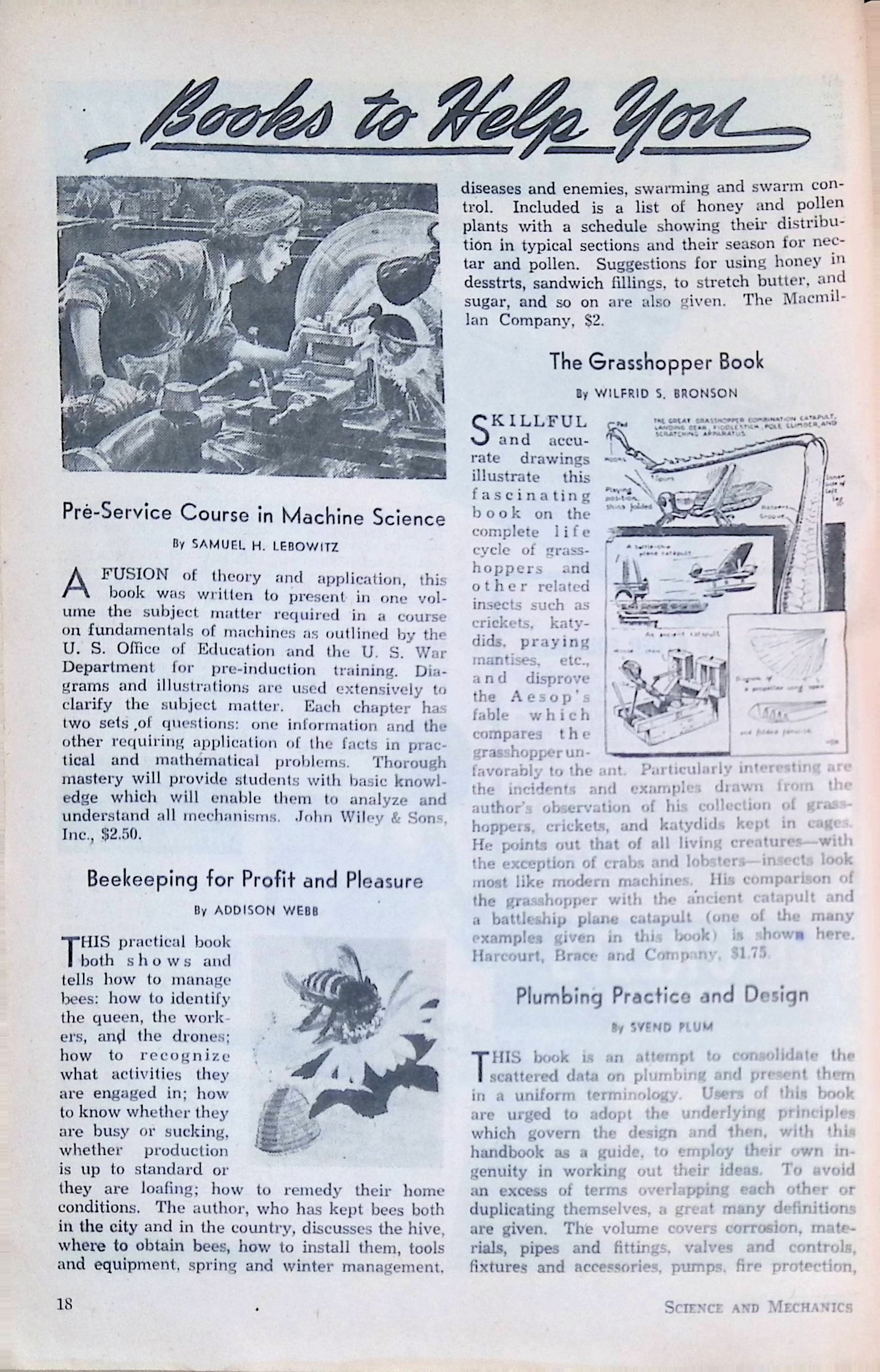 Advertisement ad0018