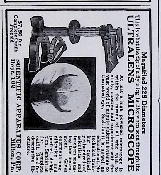 Advertisement IMG_2026_01_29_13_33_12S