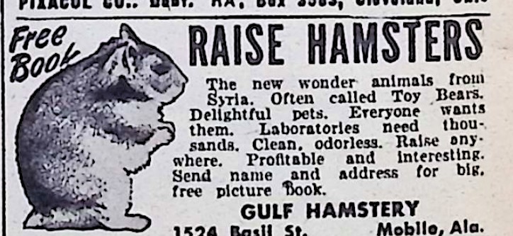 Advertisement image00027