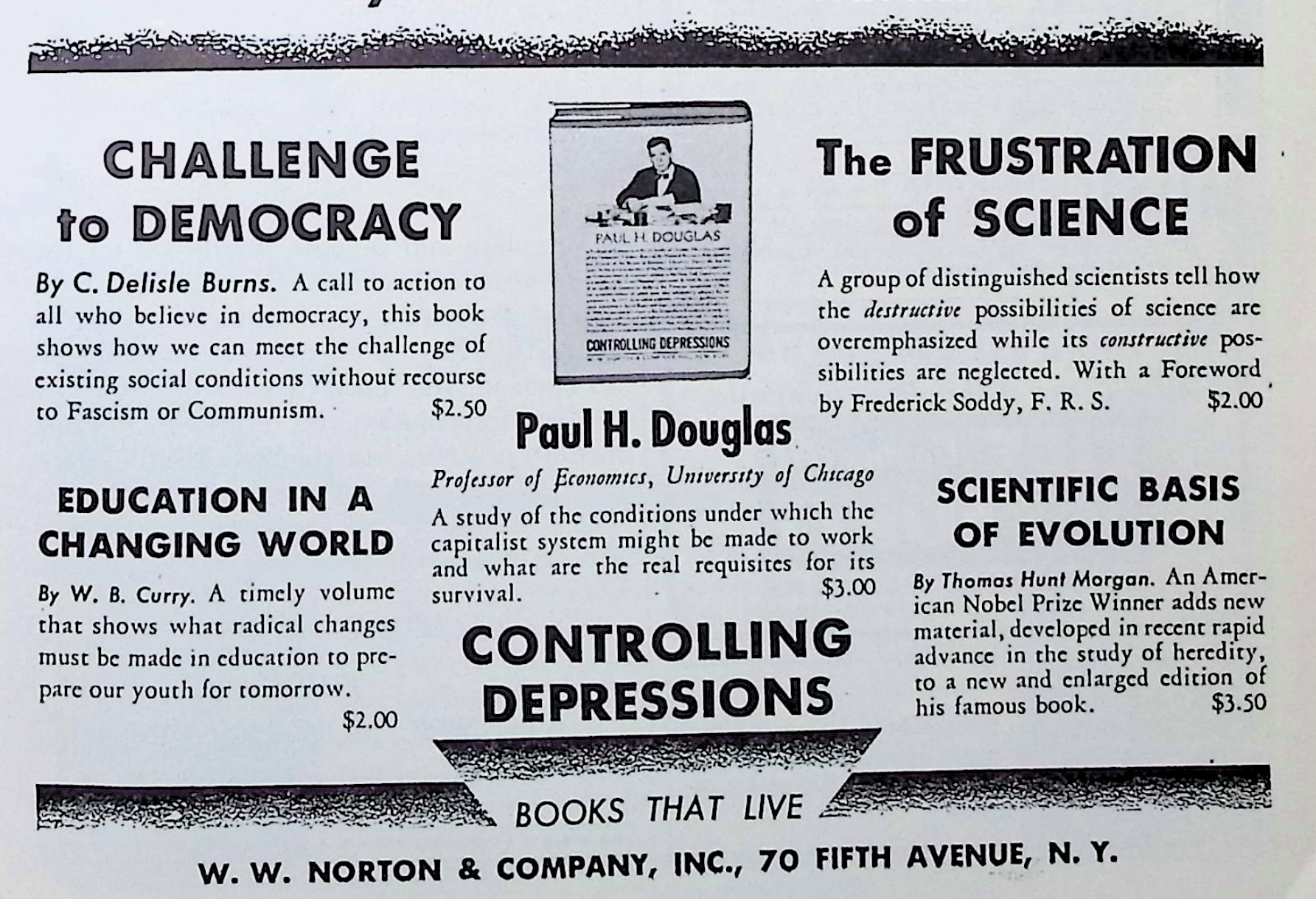 Advertisement image00039