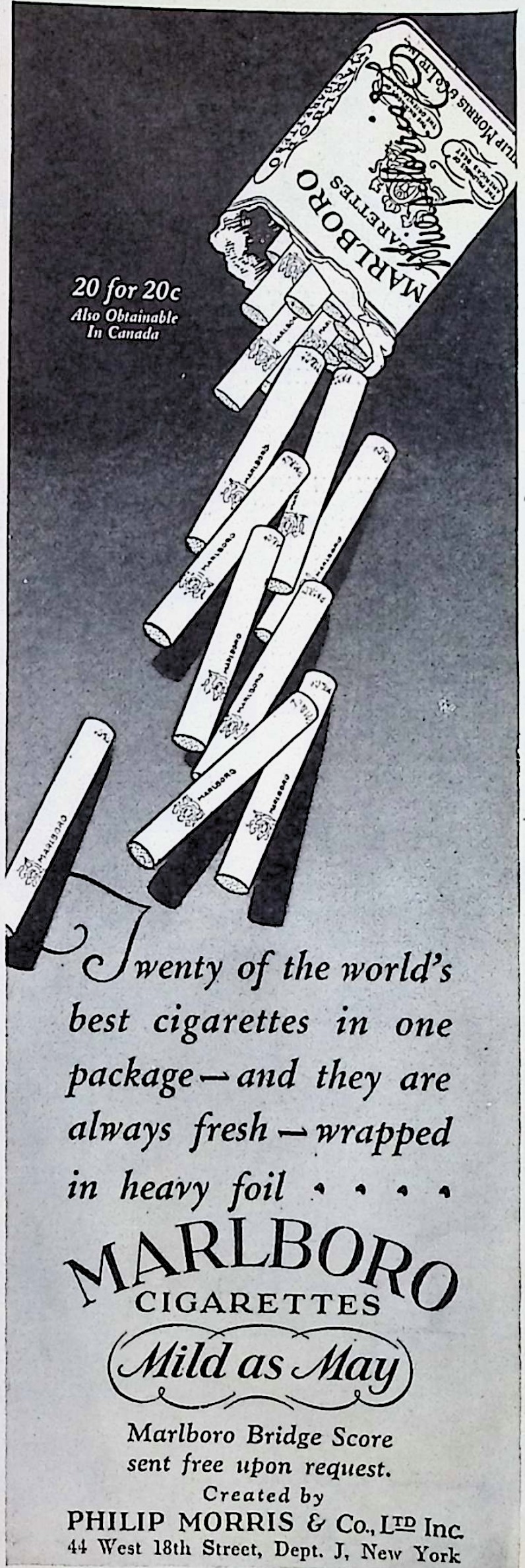 Advertisement image00105