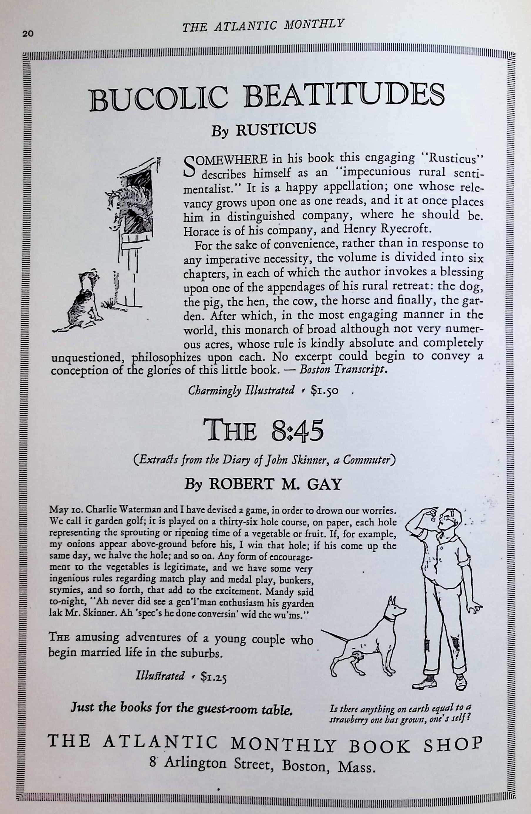 Advertisement image00025