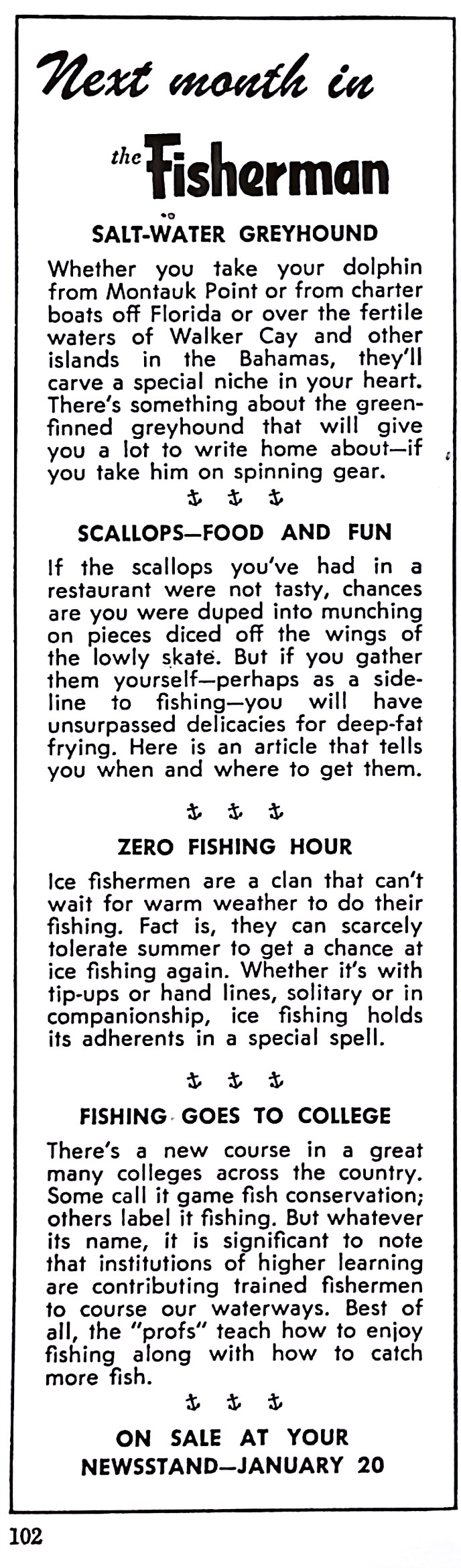 Advertisement image00036