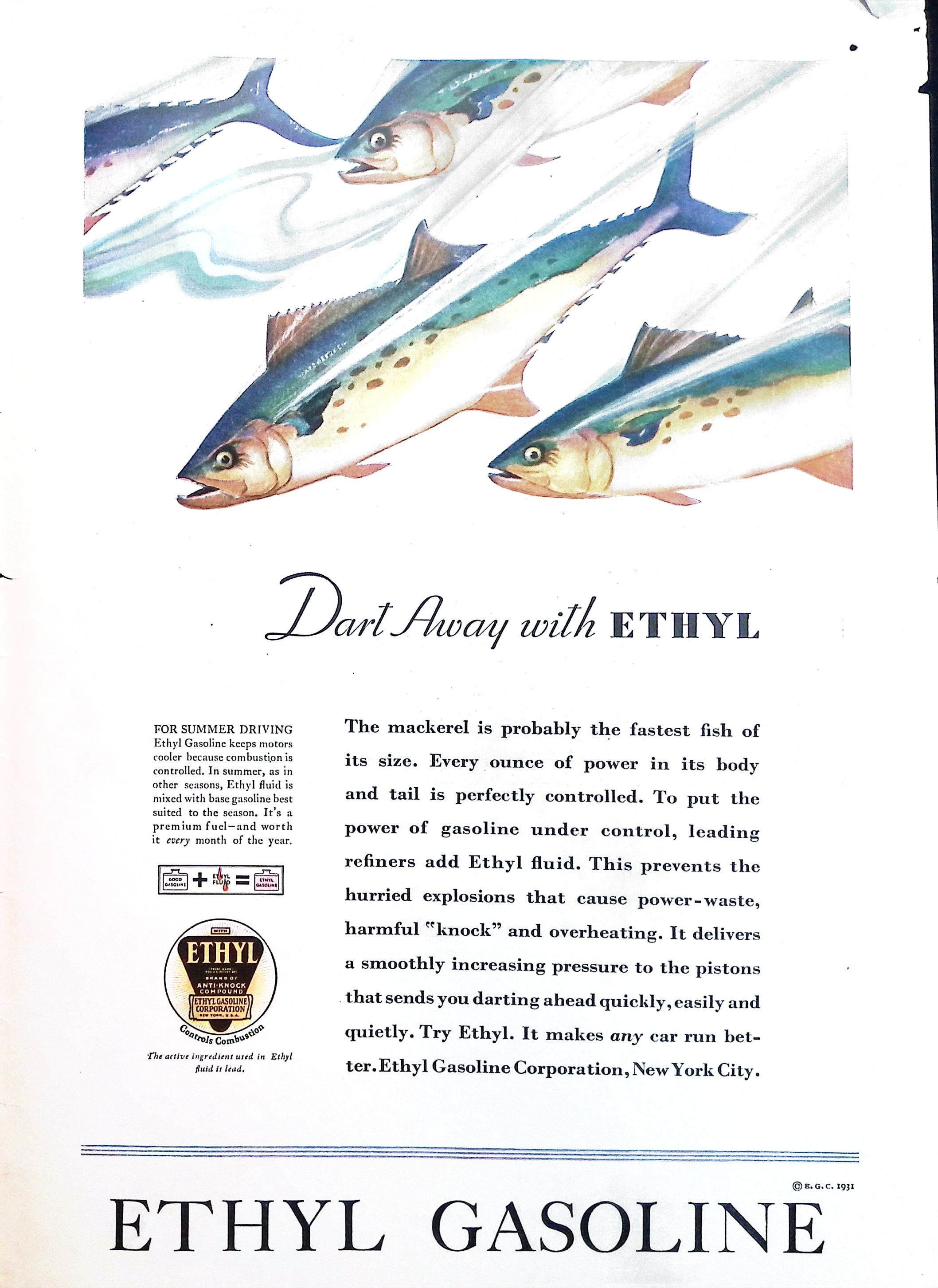 Advertisement ad0019