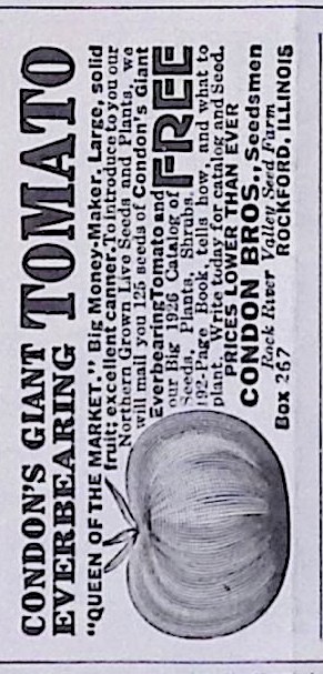 Advertisement IMG_2026_01_29_09_45_00S