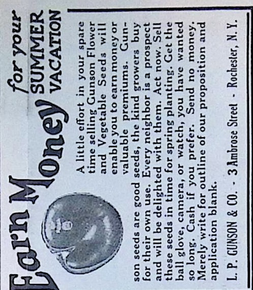 Advertisement IMG_2026_01_29_09_48_26S