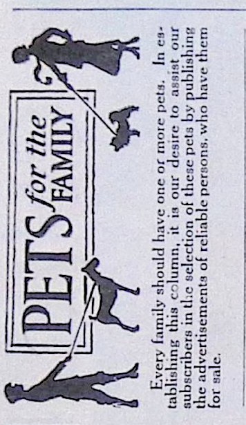 Advertisement IMG_2026_01_29_09_48_39S