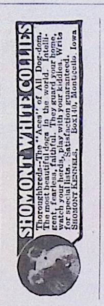 Advertisement IMG_2026_01_29_09_49_07S