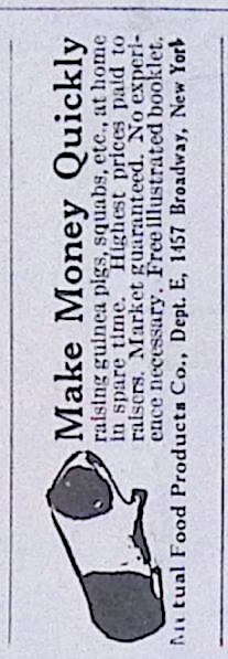 Advertisement IMG_2026_01_29_09_49_15S