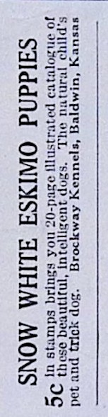 Advertisement IMG_2026_01_29_09_49_28S