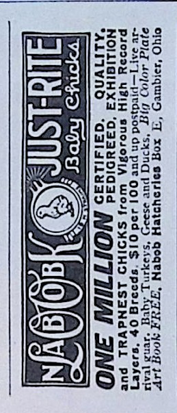 Advertisement IMG_2026_01_29_09_49_50S