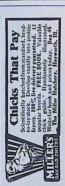 Advertisement IMG_2026_01_29_09_49_59S