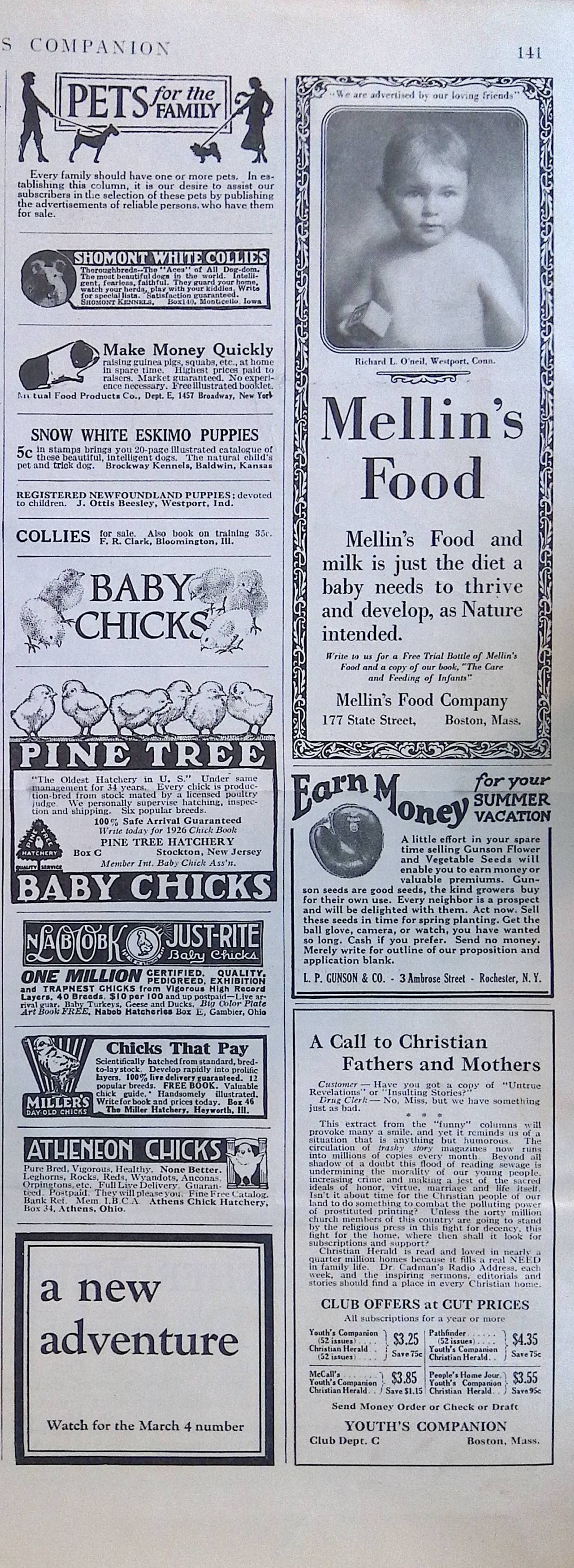 Advertisement IMG_2026_01_29_09_50_07S