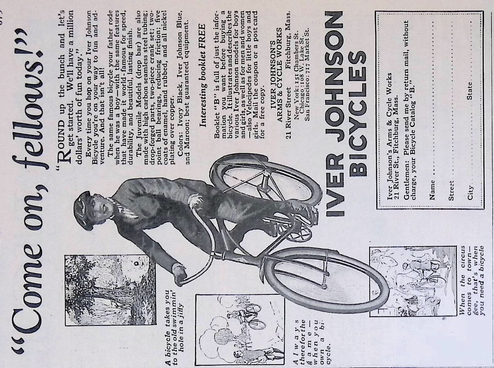 Advertisement IMG_2026_01_29_10_44_11S