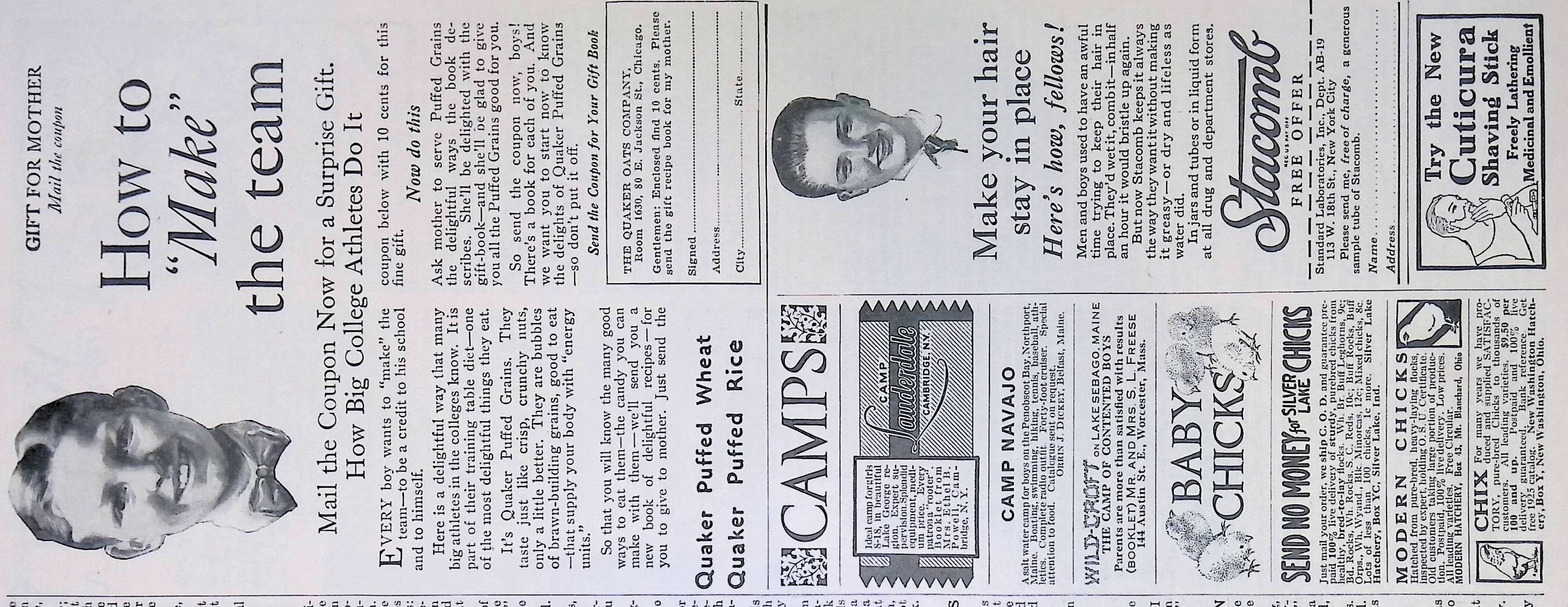 Advertisement IMG_2026_01_29_11_29_22S