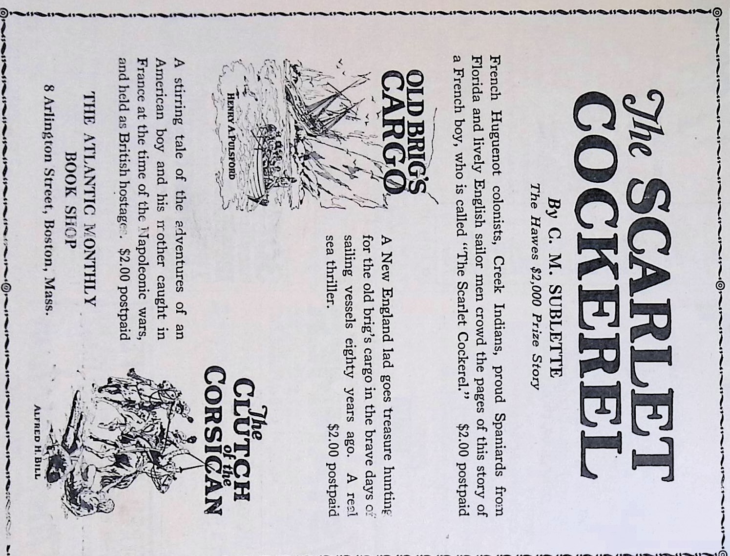 Advertisement IMG_2026_01_29_11_39_51S