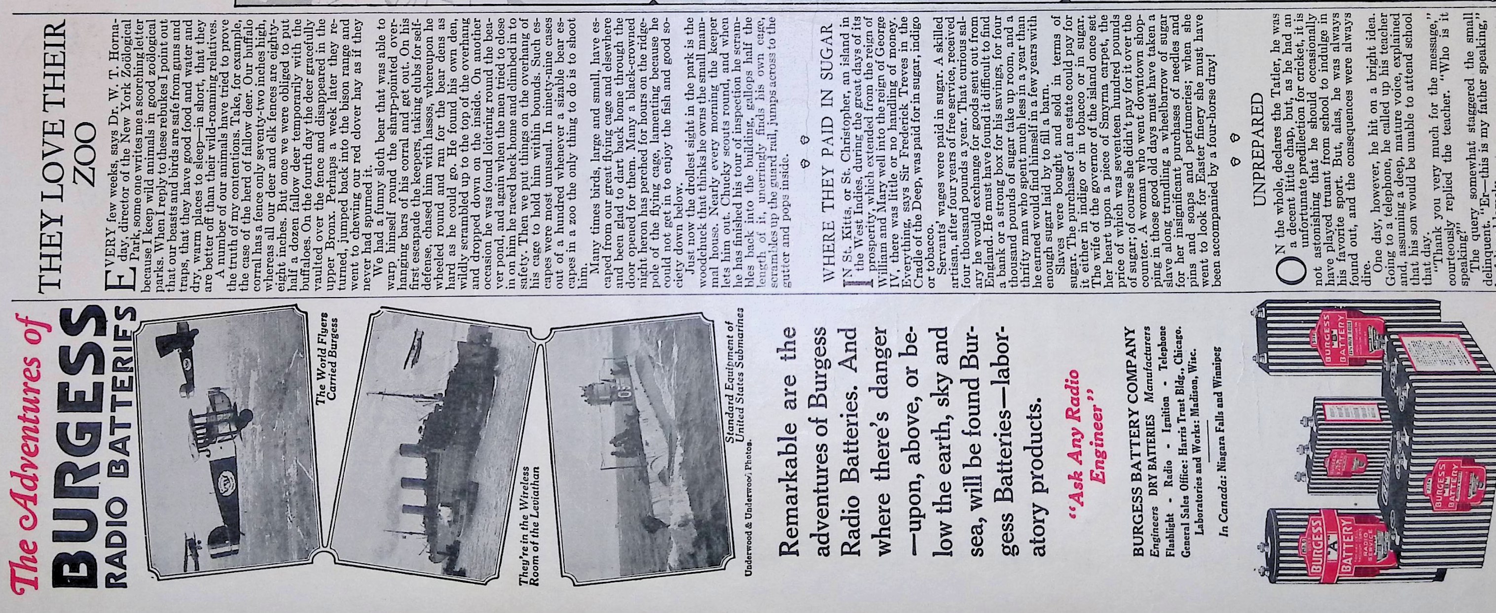 Advertisement IMG_2026_01_29_11_40_37S