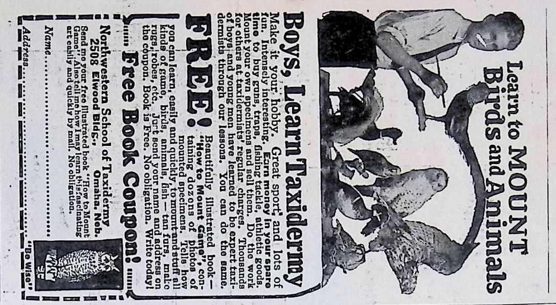 Advertisement IMG_2026_01_29_10_33_08S