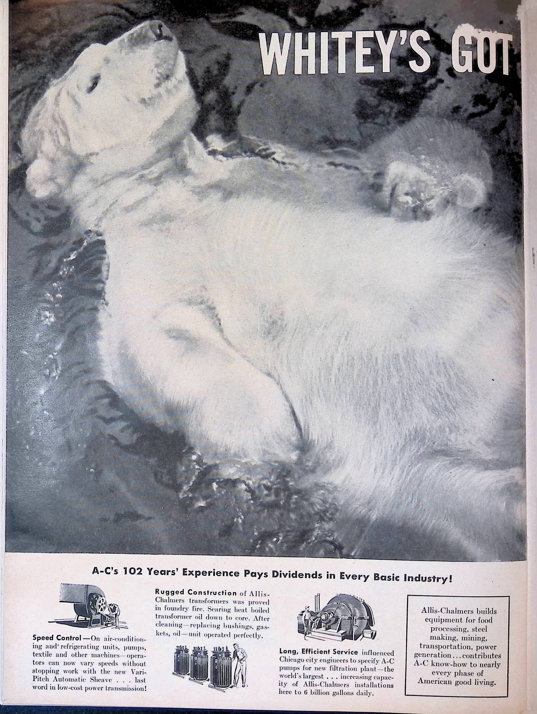 Advertisement ad0078