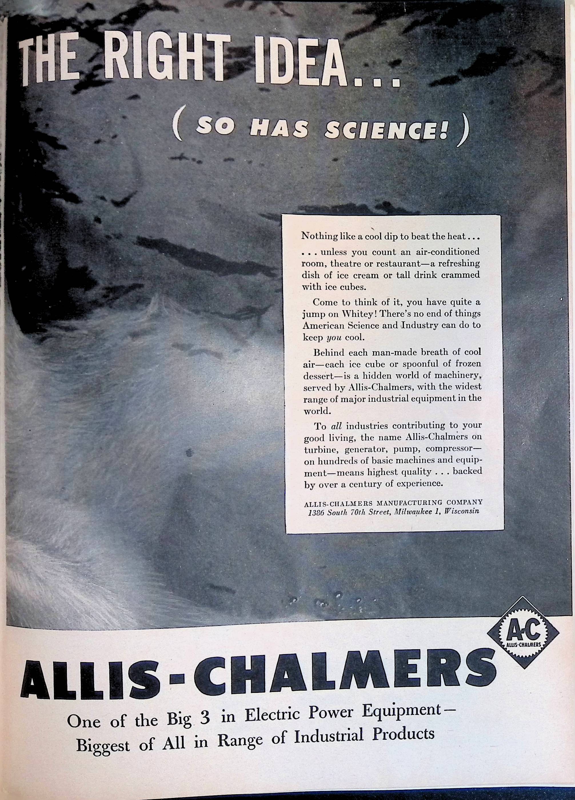 Advertisement ad0079