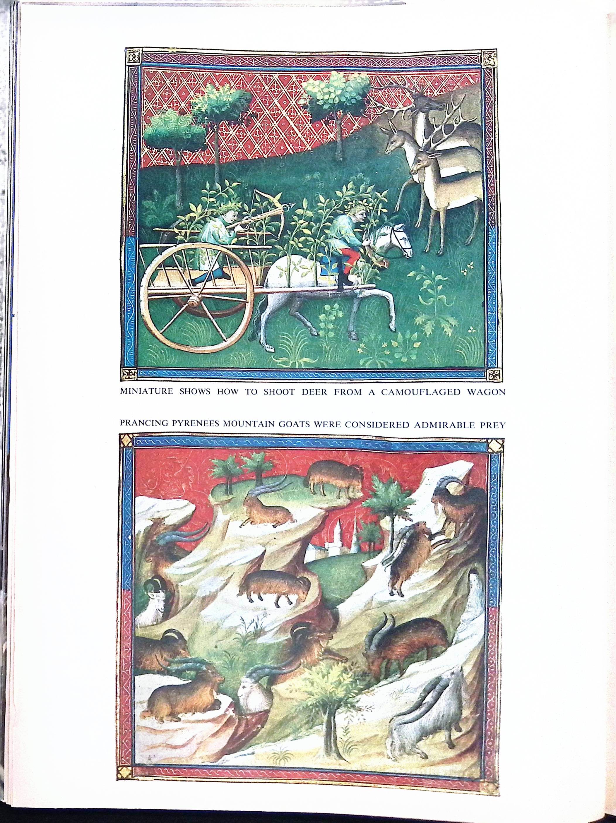 Advertisement ad0056