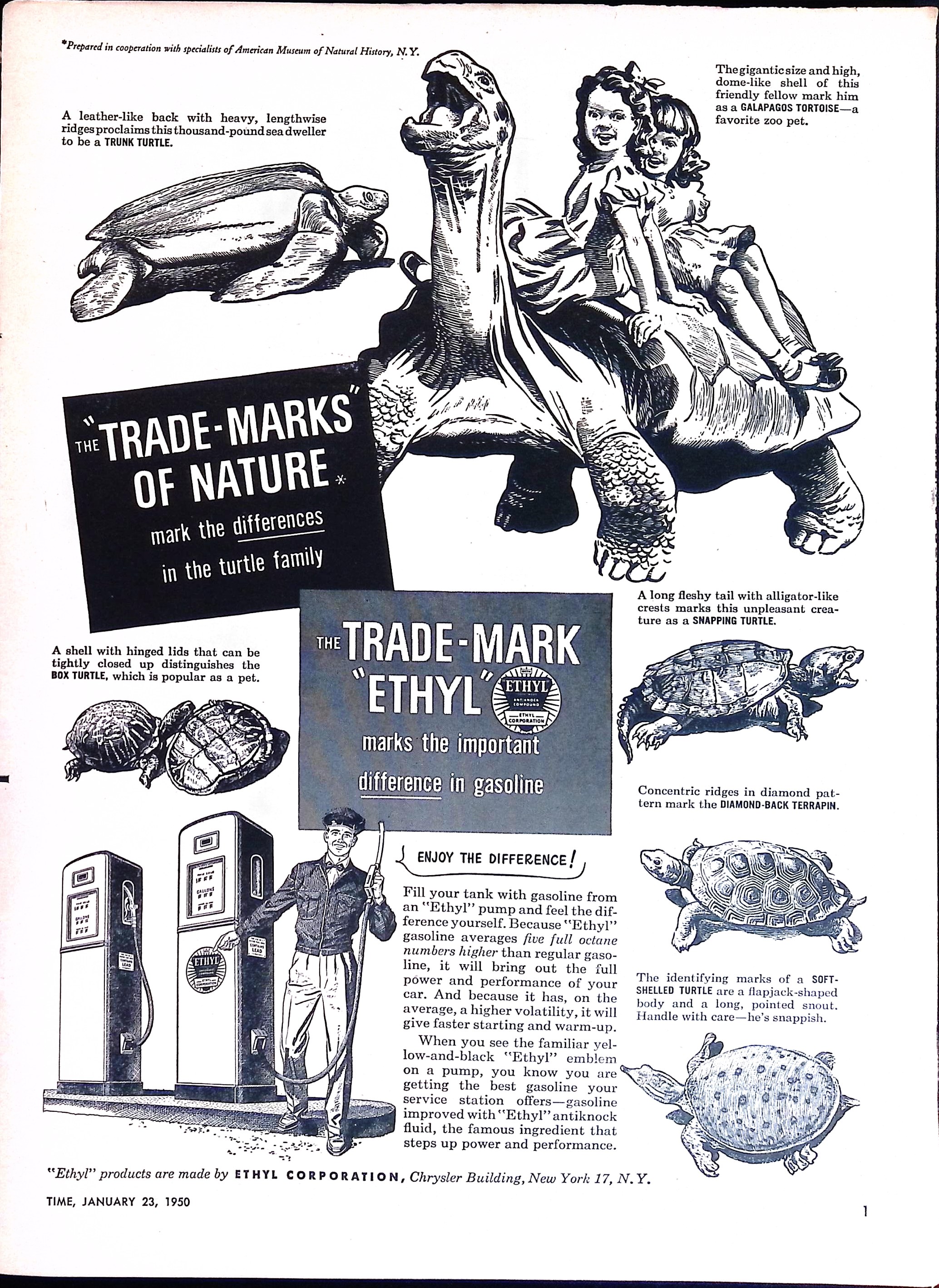Advertisement ad0003