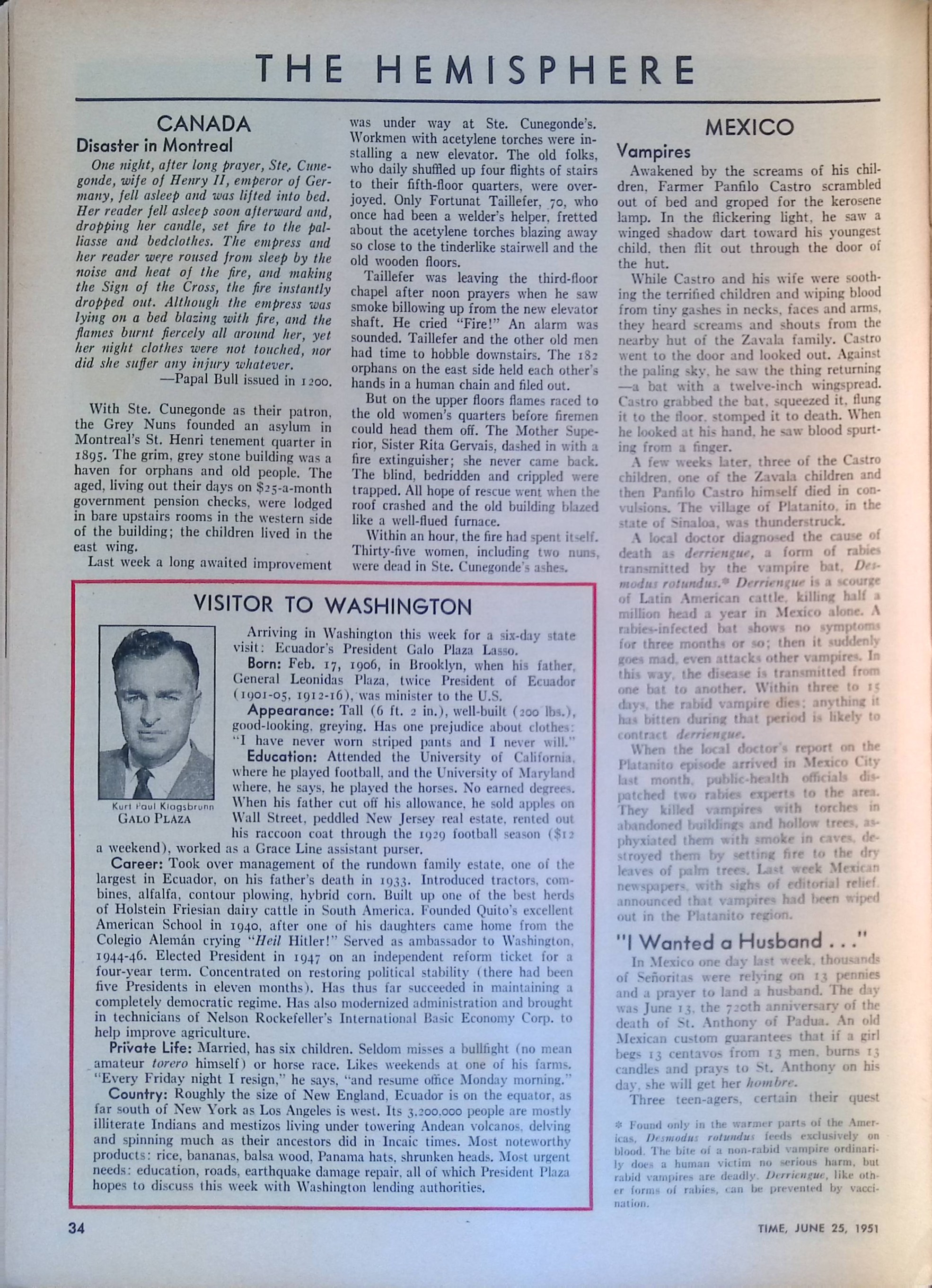 Advertisement ad0009