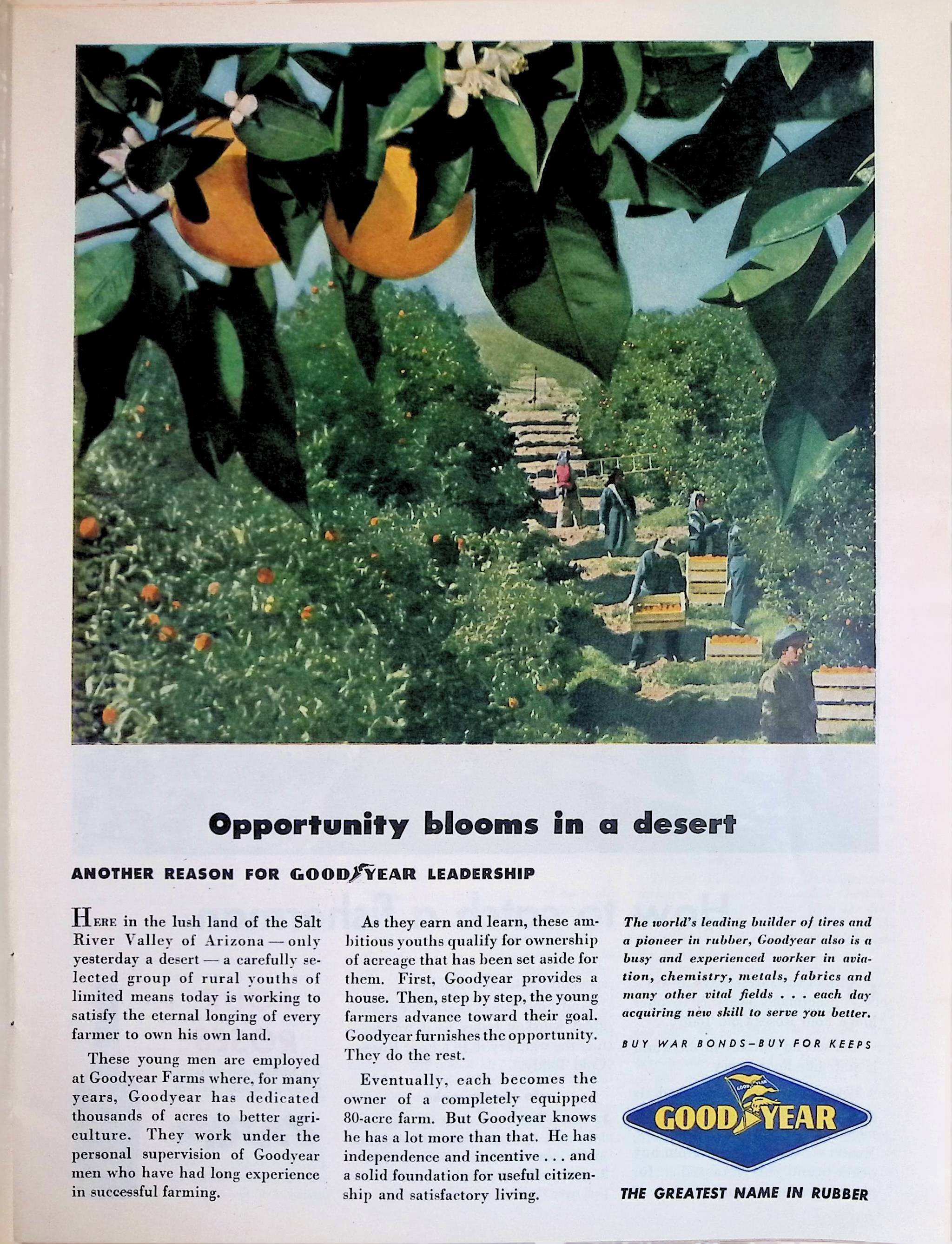 Advertisement ad0044