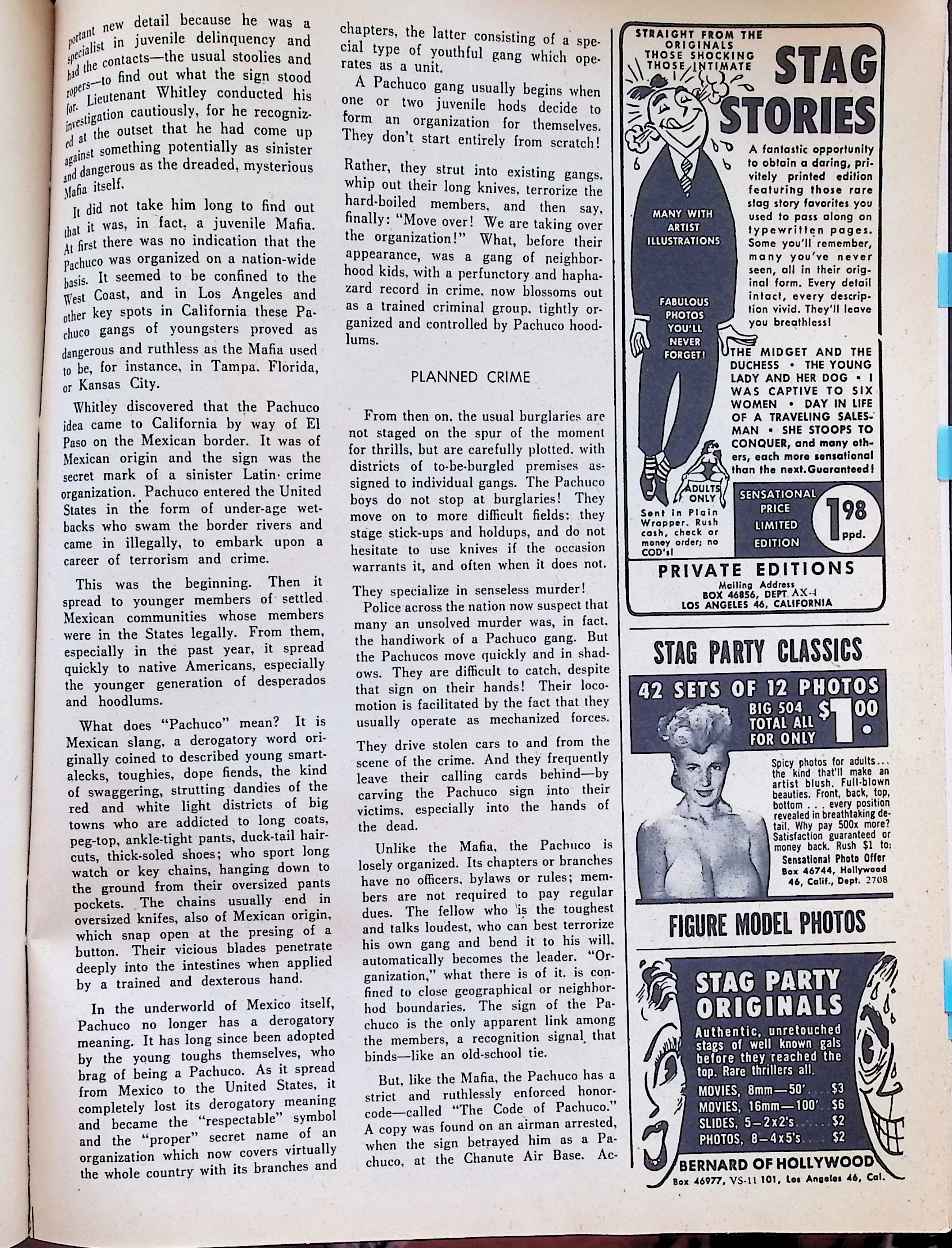 Advertisement image00031