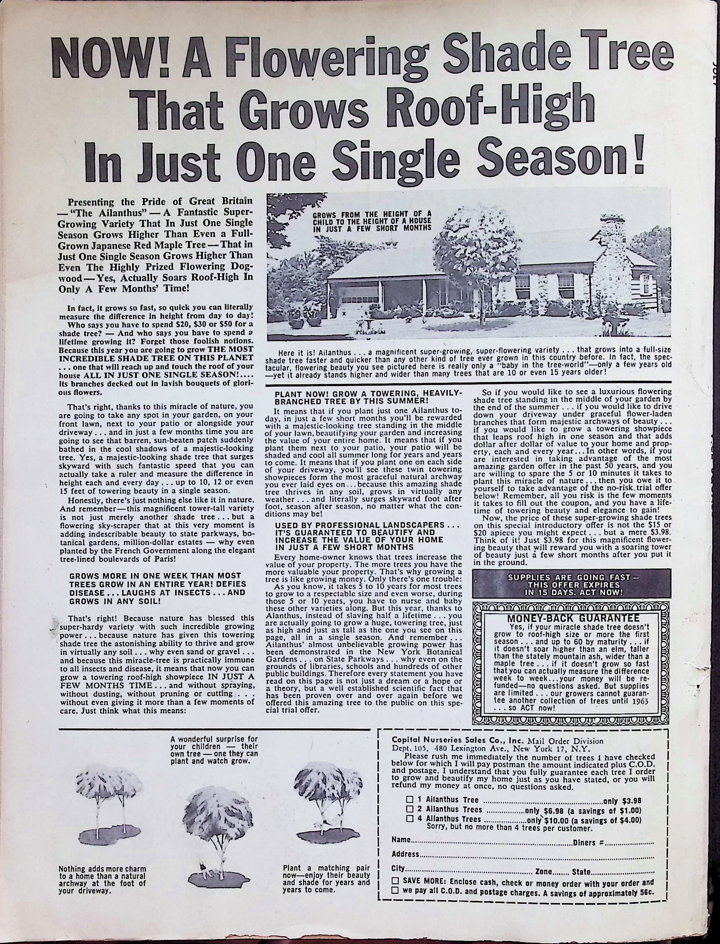 Advertisement image00040