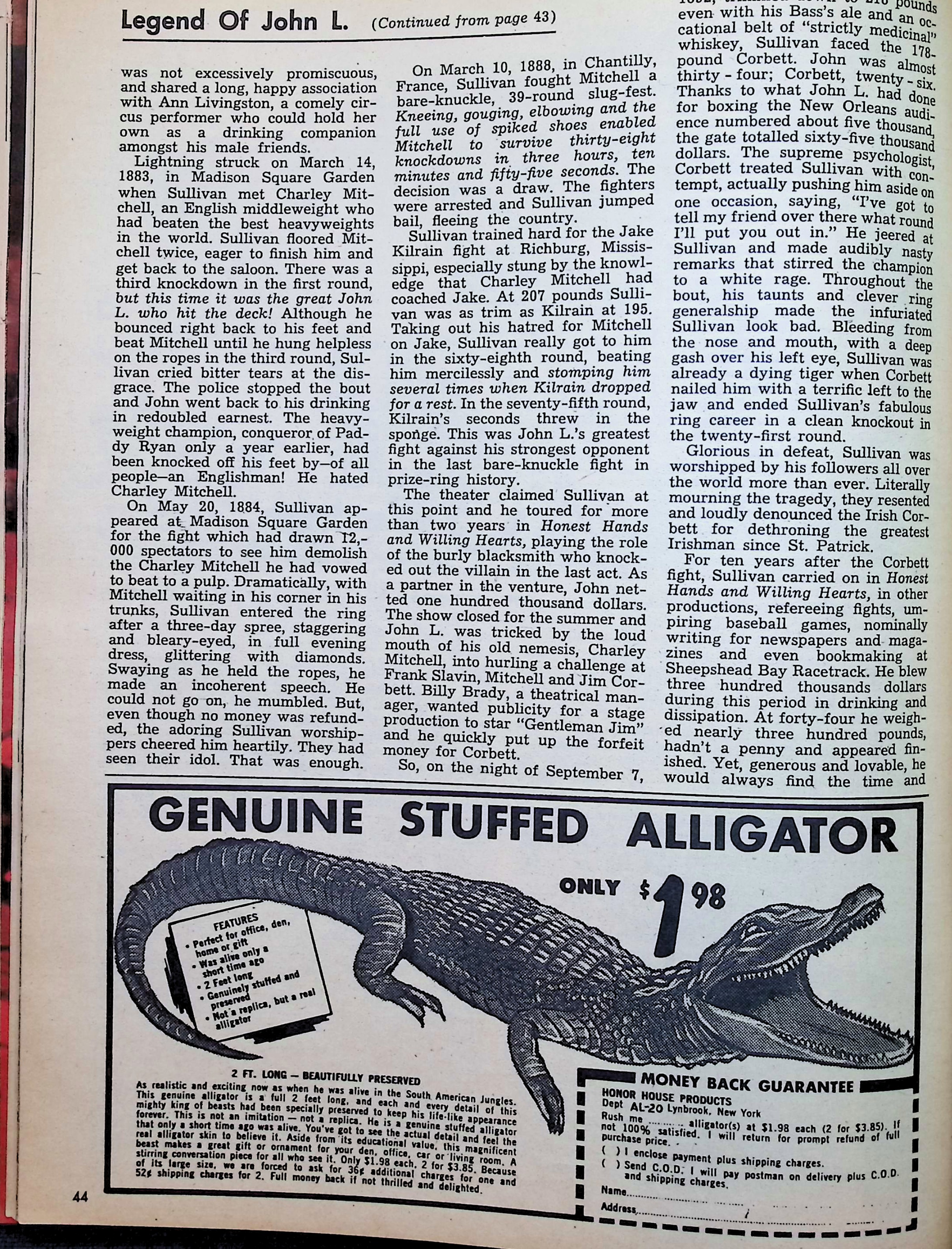 Advertisement image00013