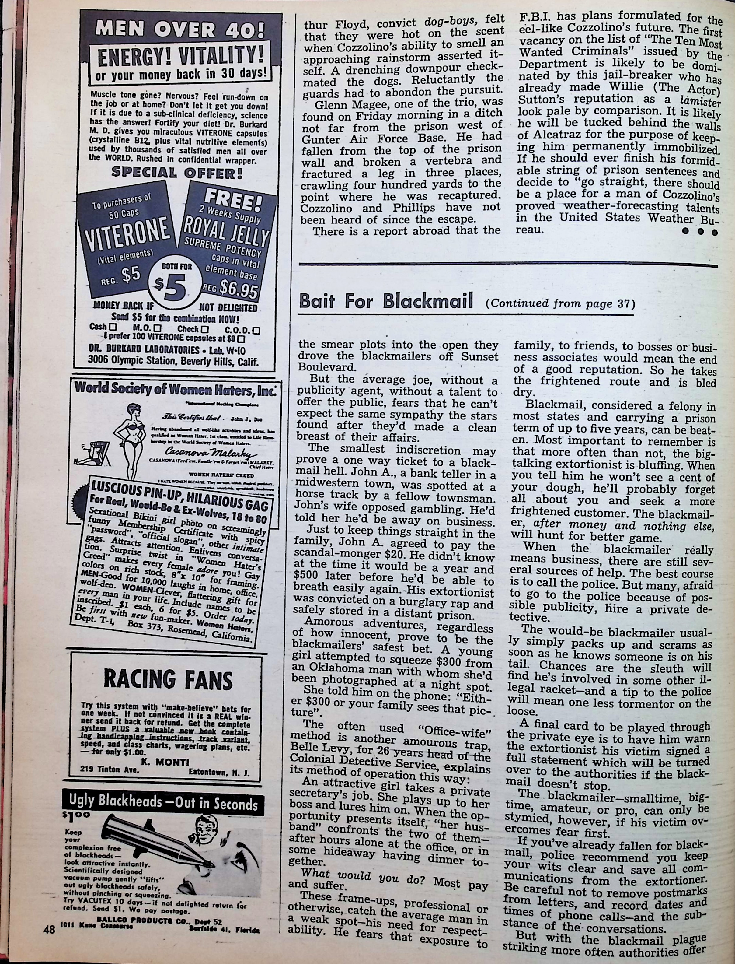 Advertisement image00017